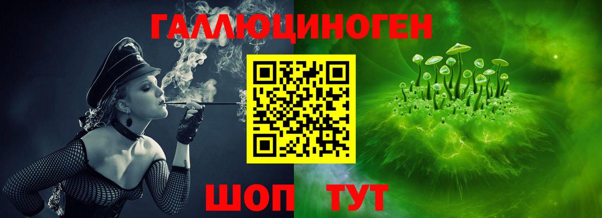 Галлюциногенные грибы Psilocybine cubensis Сызрань